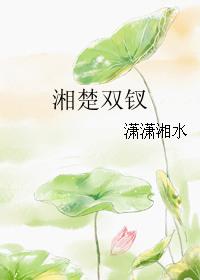 ˫