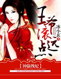 神偷拽妃，王爷滚远点